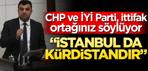  HDP'li vekil İstanbul da 'Kürdistan'dır dedi