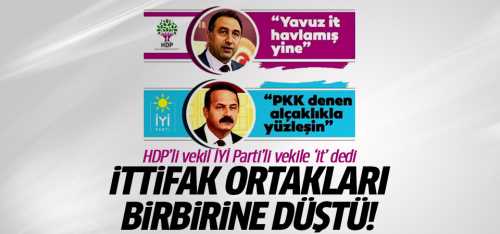 HDP'li vekil İYİ Parti'li vekile 'it' dedi