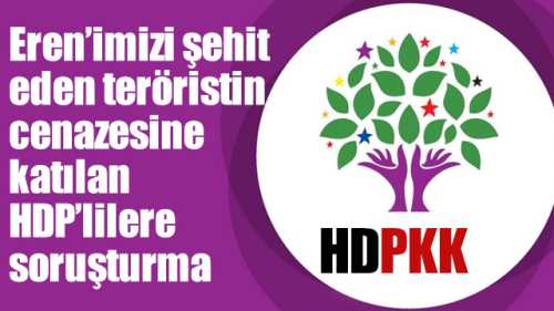 HDP'nin yeni Milletvekillerine Soruşturma açıldı