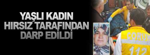 Hırsız, ev sahibini darp edip kaçtı