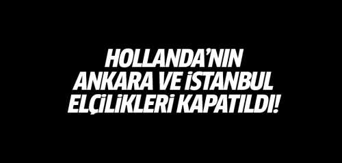 Hollanda'da gurbetçiler sokaklara indi
