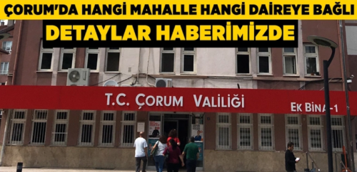 İkinci Vergi Dairesi Valilik Ek Binada Faaliyete Başladı