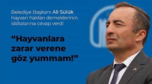 İskilip Belediyesi "Sokak köpekleri öldürüldü" iddialarına cevap verdi