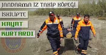 İz Takip Köpeği Hayat Kurtardı