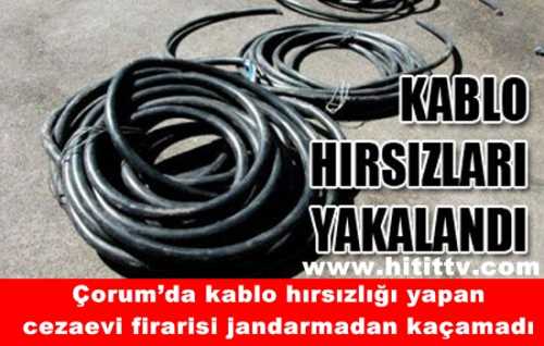 Kablo Hısızı Jandarmadan Kaçamadı