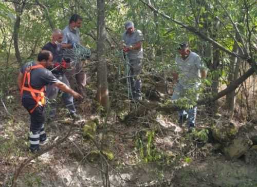 Kargı'da Kuyuya düşen yavru köpeği itfaiye kurtardı