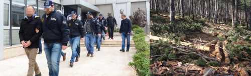 Kargı Orman İşletme Şefliğinde yolsuzluk 7 tutuklama