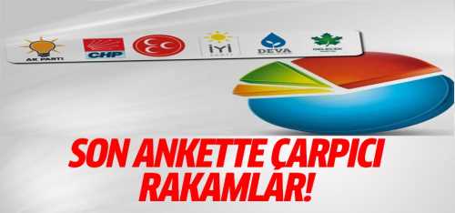 Kasım 2021 Türkiye'nin Nabzı Araştırması 