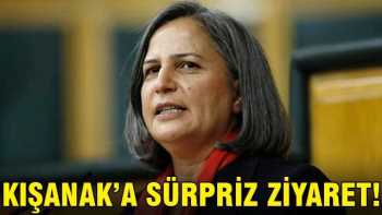 Kışanak'a sürpriz ziyaret