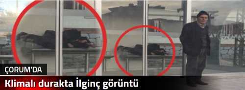 Klimalı durakta İlginç görüntü