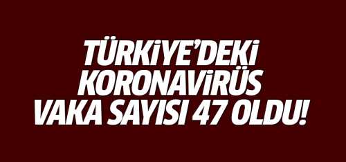 Koronavirüs'te vaka sayısı 47 oldu