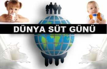 Köylünün Ürettiğini Kim Aşağılıyor?