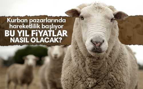 Kurban Bayramı’na sayılı günler kala fiyat tartışmaları başladı