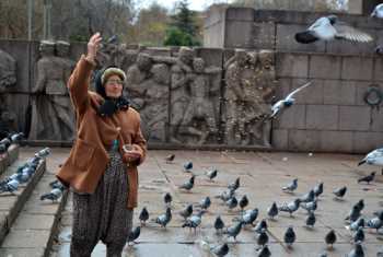 Kuş yemi satan Alaca'lı  Nine'yi parktan attılar