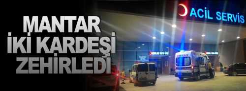 Mantardan 2 kardeş zehirlendi