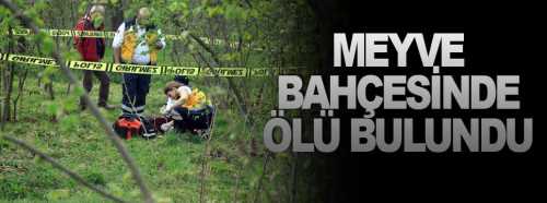  Meyve bahçesinde ölü bulundu
