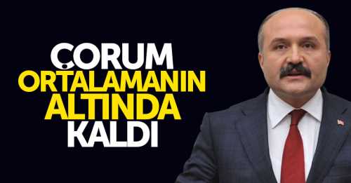 MHP Grup Başkanvekili Usta, Çorum ortalamanın altında kaldı 