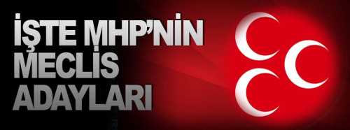 MHP'nin İL Genel ve Belediye meclisi üyeleri