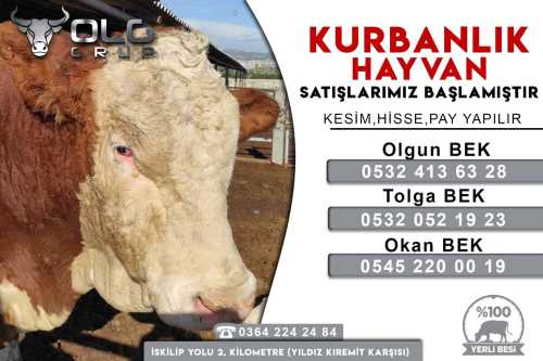 Olgun Et Kombine entegre Tesisi