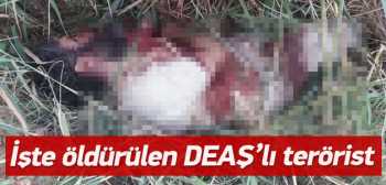 ÖLÜ ELE GEÇİRİLEN DEAŞ'LI TERÖRSİT