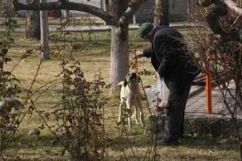 Örnek Davranış bu olsa gerek