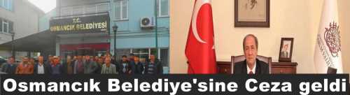 Osmancık Belediyesi'nin veteriner hekimi açığa alındı 