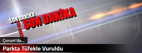 Parkta Tüfekle Vuruldu