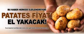 Patates fiyatları Yükselmeye devam edecek mi