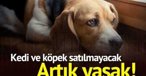  Pet shoplarda kedi köpek satılmayacak