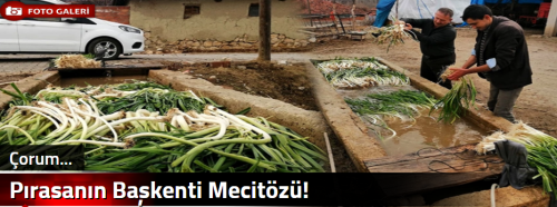 Pırasanın Başkenti Mecitözü! 