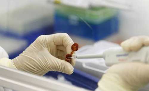 Sağlık Bakanlığı'ndan yapılan açıklamaya göre dün toplanan T.C. Sağlık Bakanlığı Grip Bilimsel Danışma Kurulu, domuz gribiyle ilgili olarak değerlendirme yaptı.