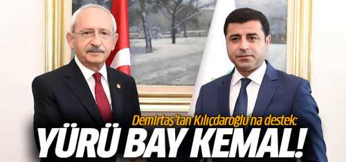 Selahattin Demirtaş'tan Kılıçdaroğlu'na tam destekk