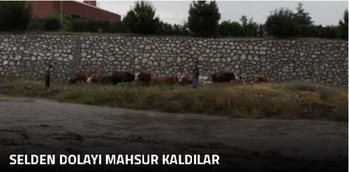 Selden Dolayı Mahsur Kaldılar