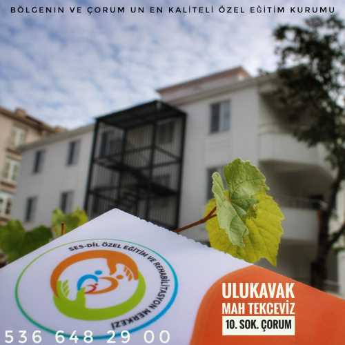 Ses-Dil Özel Eğitim ve Rehabilitasyon Merkezi Açıldı