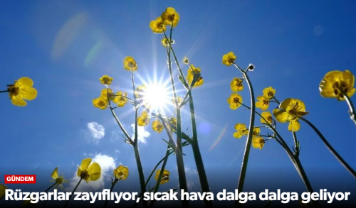 Sıcak Hava Dalgası  Geri Geliyor!