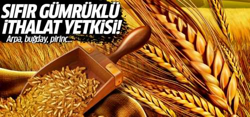Sıfır gümrüklü ithalat yetkisi! Arpa, buğday, pirinç
