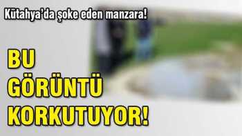 Simav'da bu görüntü korkutuyor!