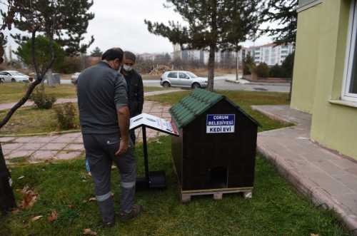 Sokağın hayvanına başkan sahip çıktı