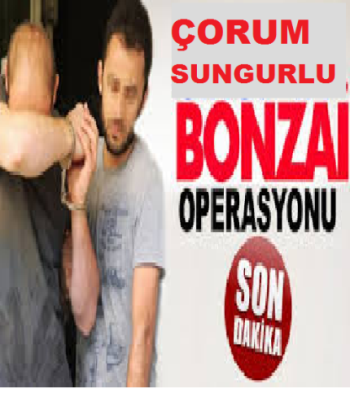 SUNGURLU'DA YİNE BONZAİ OPERASYONU