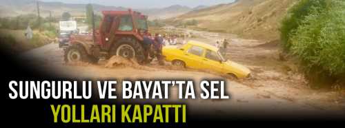 Sungurlu ve Bayat'ta Sel Yolları Kapattı
