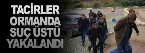 Tacirler Ormanda Suç üstü Yakalandı