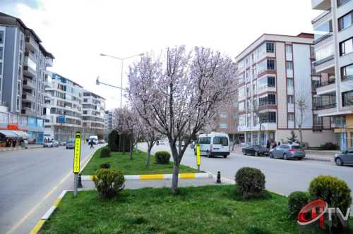 TAPU'DA ÜÇ BOYUTLU DÖNEM BAŞLIYOR