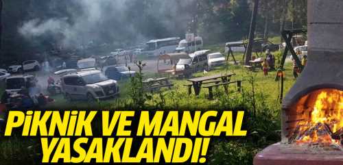 Tarım ve Orman Bakanlığı'ndan mangal yasağı