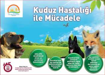 TİLKİLERE SÖYLEMEYİN YEMLERİNİ ELLEMEYİN