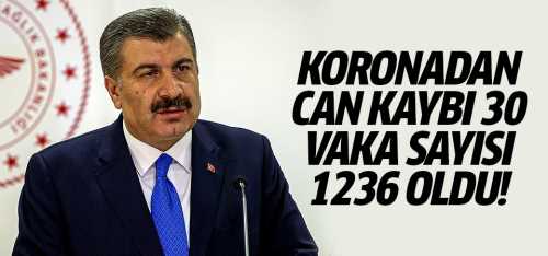 Türkiye'de koronadan can kaybı 30 oldu