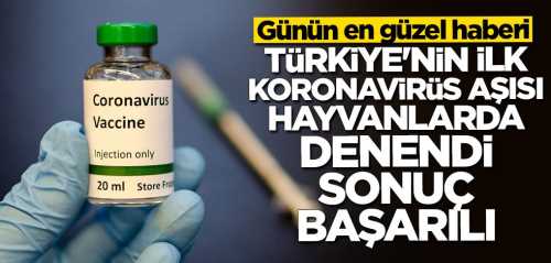 Türkiye'nin ürettiği koronavirüs aşısının ilk aşaması başarılı çıktı