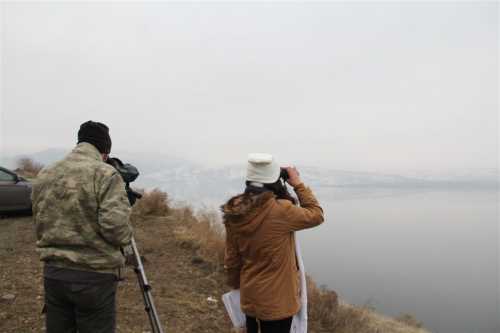 Türkiye'nin yeni Kuş cenneti Obruk Barajı 