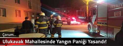 Ulukavak Mahallesinde Yangın Paniği Yaşandı!