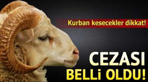 Uygunsuz Kurban kesimin cezası Bin 255 Lira