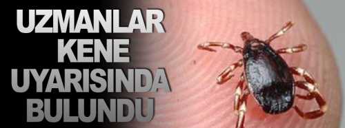 Uzmanlar KKKA hakkında vatandaşları uyardı